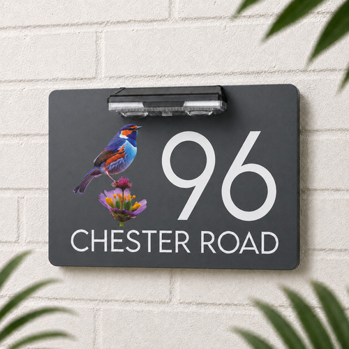 Personalised custom solar led - custom,